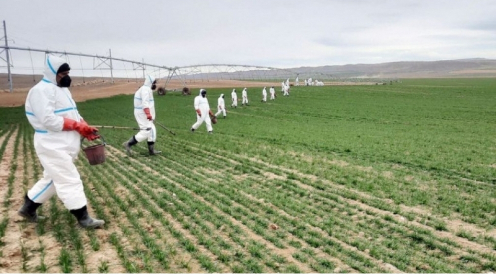 ekin-sahelerinde-sichanabenzer-gemiricilere-qarshi-mubarize-tedbirleri-davam-etdirilir