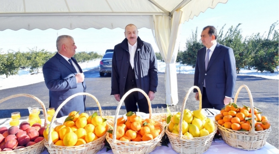 prezident-lenkerana-sefer-edib-lenk-frut-mmc-nin-sitrus-baginda-yaradilan-sheraitle-tanish-olub