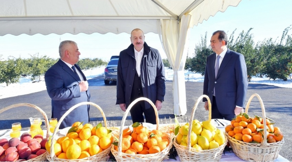 prezident-ilham-eliyev-lenkeran-rayonuna-gedib-yenilenib