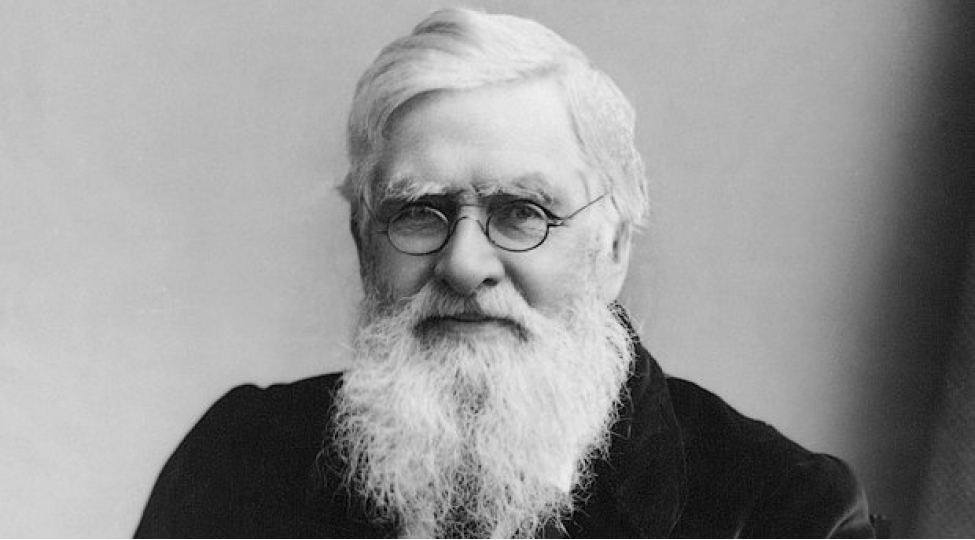 unudulmush-8-gorkemli-alim-fotolar