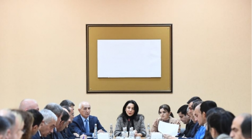 sechki-gunu-ombudsman-aparatina-daxil-olan-muracietler-arashdirilacaq-sebine-eliyeva