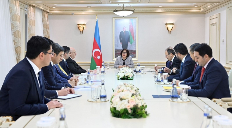 turkpa-ve-tbmm-mushahide-missiyalari-azerbaycanda-prezident-sechkilerini-yuksek-qiymetlendirib-foto
