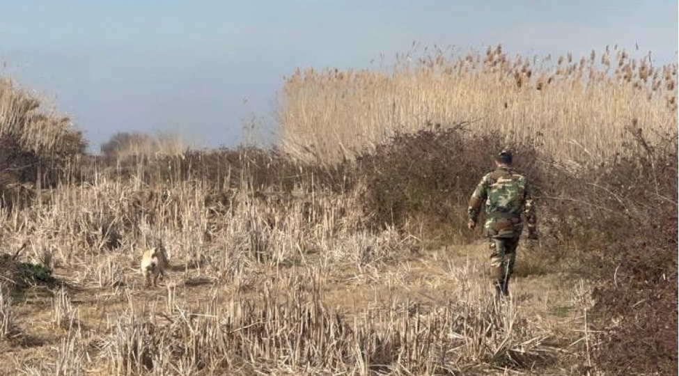 imishlide-kanalda-batmasi-ehtimal-olunan-11-yashli-ushagin-axtarishlari-davam-etdirilir