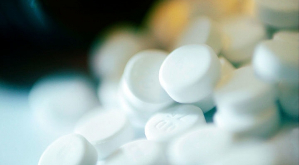 ukraynali-ushaqlar-tecrube-dovshanlarina-chevrilib