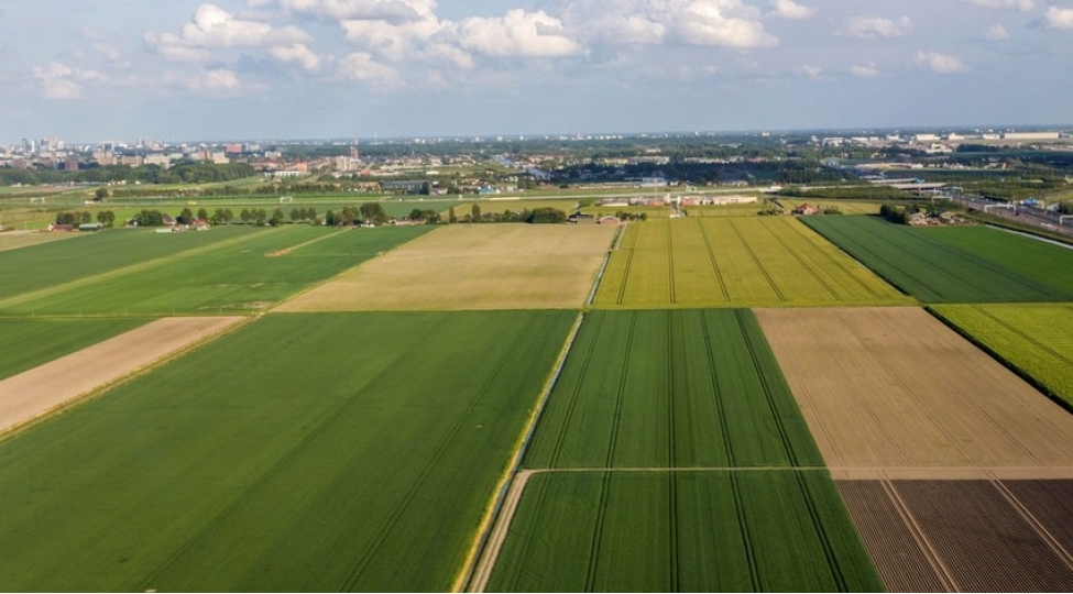 azerbaycanda-bezi-shexsler-belediyye-torpaqlarindan-teyinatina-zidd-istifade-edibler