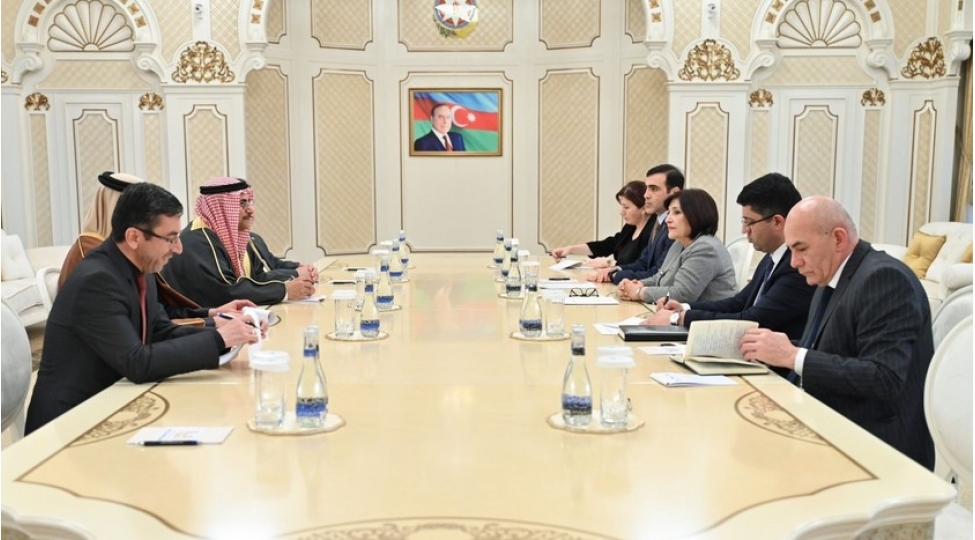 sahibe-qafarova-ereb-parlamentinin-sedri-ile-gorushub-foto