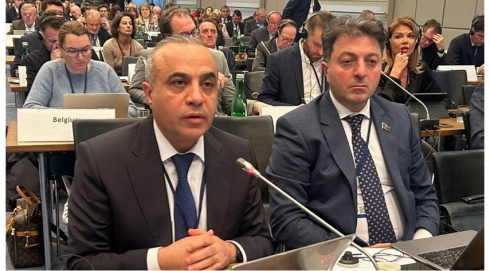 azay-quliyev-fransanin-siyaseti-cenubi-qafqazin-tehlukesizliyine-xelel-getirir