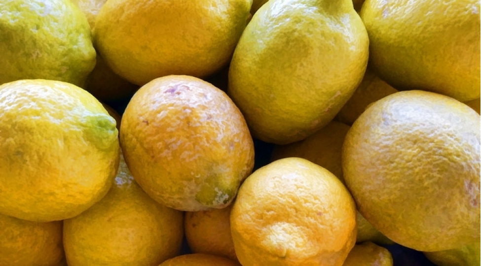 limon-erken-qocalmanin-qarshisini-alir