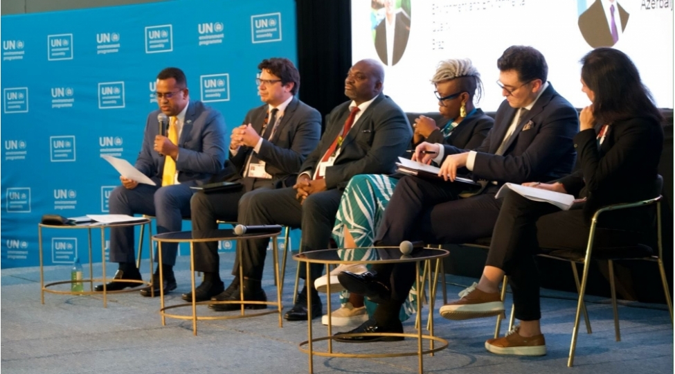 cop29-numayende-heyeti-bmt-nin-etraf-muhit-assambleyasinin-6-ci-iclasinda-ishtirak-edib