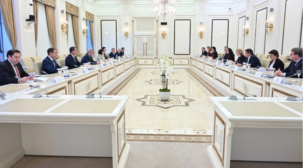 sahibe-qafarova-almaniya-bundestaqinin-numayende-heyeti-ile-gorushub-foto