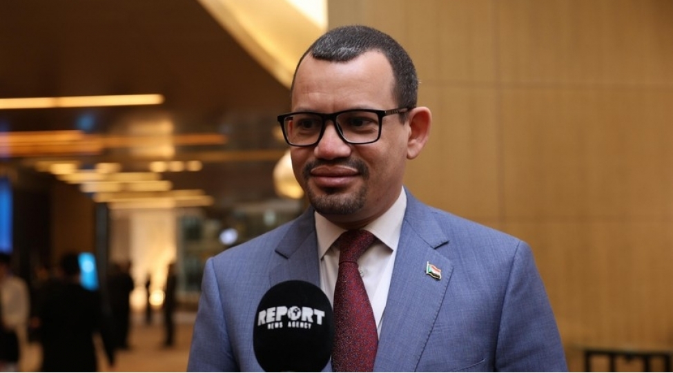 qerb-dovletlerinde-islamofobiya-tendensiyasi-ilden-ile-yukselir-sudanin-muveqqeti-ishler-vekili