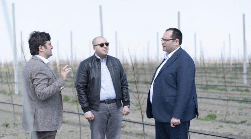 mecnun-memmedov-quba-qusar-ve-xachmazdaki-teserrufatlara-bash-chekib