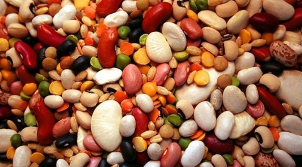 lobyanin-hansi-rengi-daha-xeyirlidir