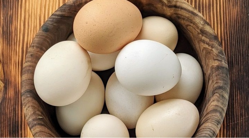 ag-yoxsa-sari-yumurta