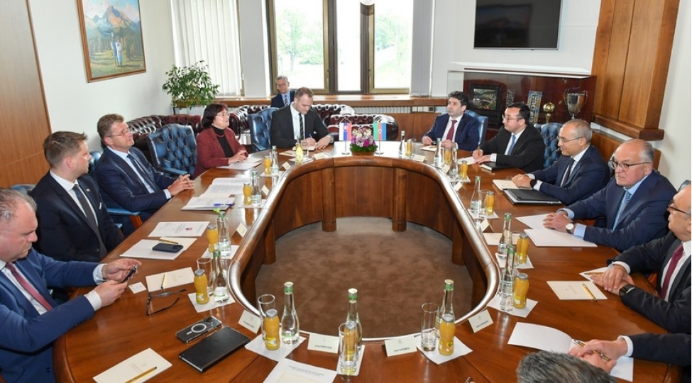 mikayil-cabbarov-slovakiya-resmileri-ile-iki-olke-arasindaki-elaqeleri-muzakire-edib-foto