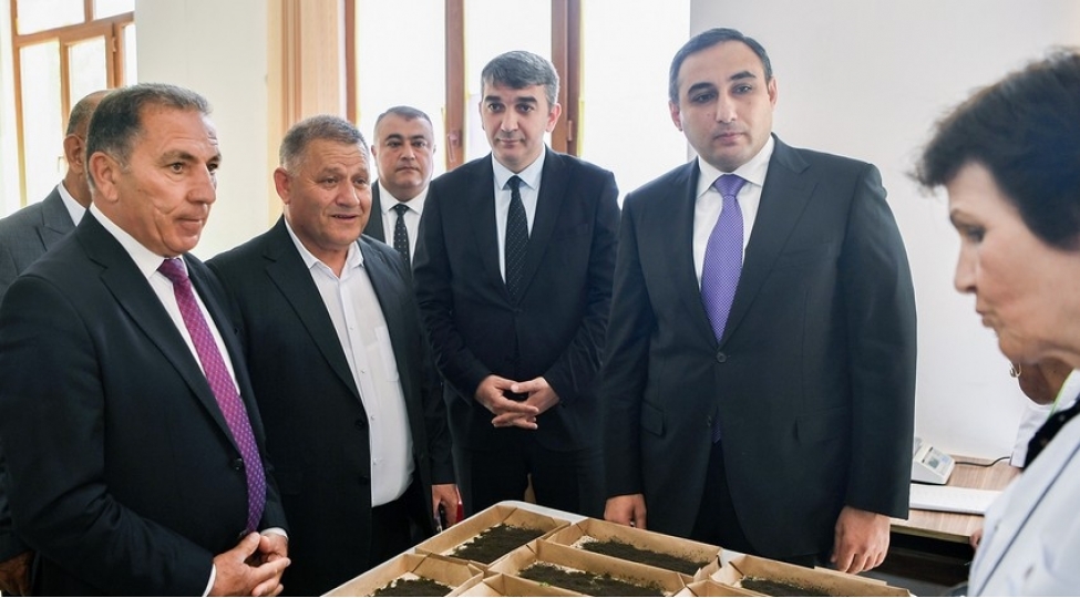 azerbaycanda-2024-cu-il-barama-movsumune-start-verilib-foto