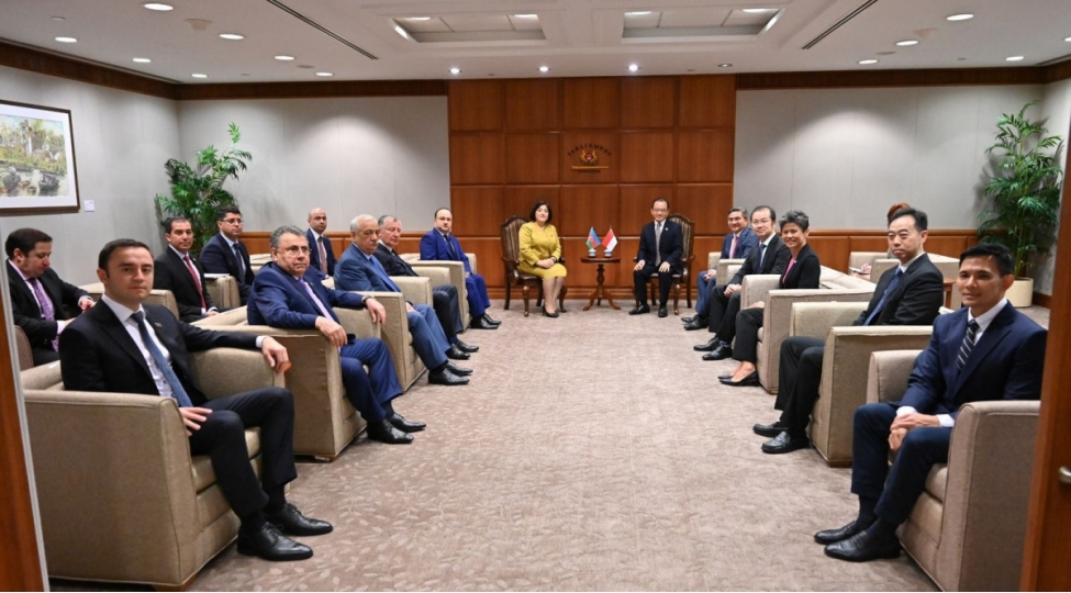 milli-meclisin-sedri-sinqapur-parlamentinin-sedri-ile-gorushub
