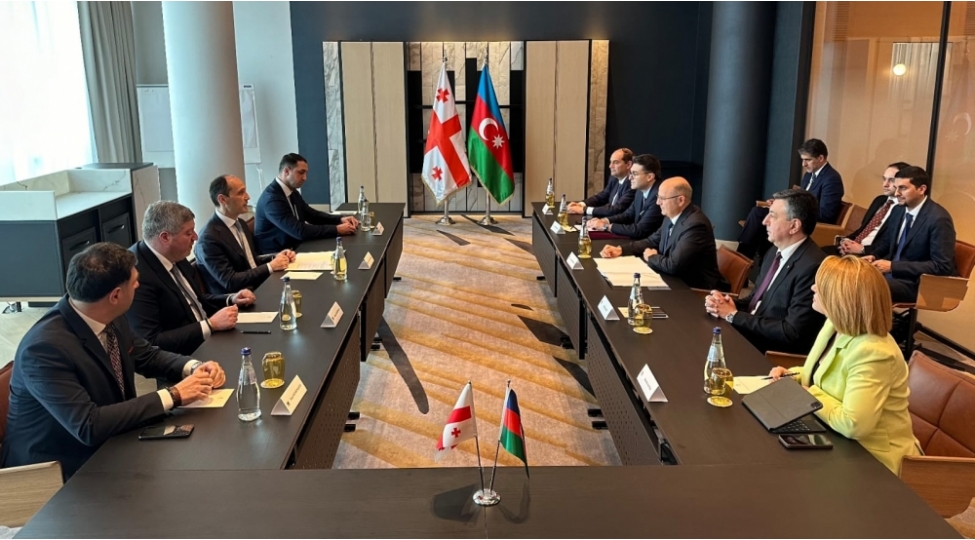 perviz-shahbazov-gurcustanin-iqtisadiyyat-ve-davamli-inkishaf-naziri-ile-gorushub