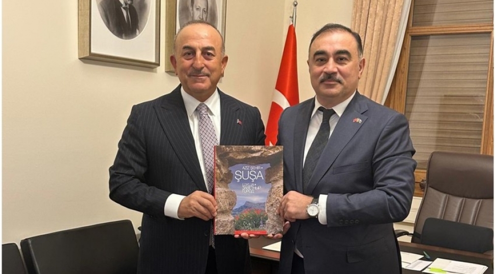 azerbaycan-sefiri-movlud-chavushoglu-ile-gorushub