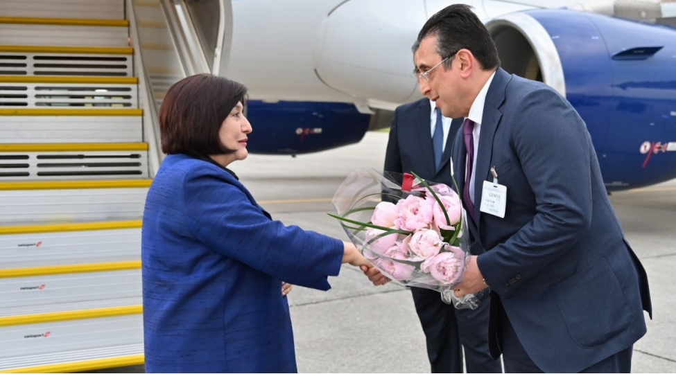 milli-meclisin-sedri-isvechre-konfederasiyasina-ishguzar-sefere-gedib