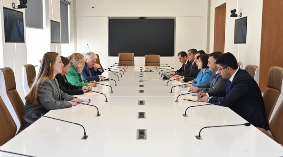 sahibe-qafarova-bmt-nin-bash-direktoru-ile-gorushub-foto