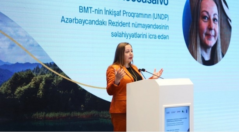 bmtip-cop29-ishtirakchilari-novbeti-nesillerin-geleceyini-temin-etmek-uchun-bir-araya-gelecekler