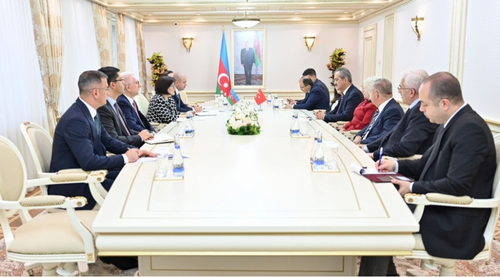 sahibe-qafarova-mahmut-ozerin-bashchiliq-etdiyi-numayende-heyeti-ile-gorushub