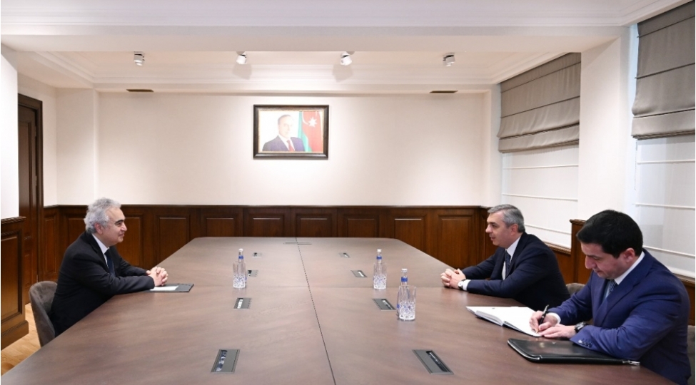prezident-administrasiyasinin-rehberi-beynelxalq-enerji-agentliyinin-icrachi-direktoru-ile-gorushub-foto