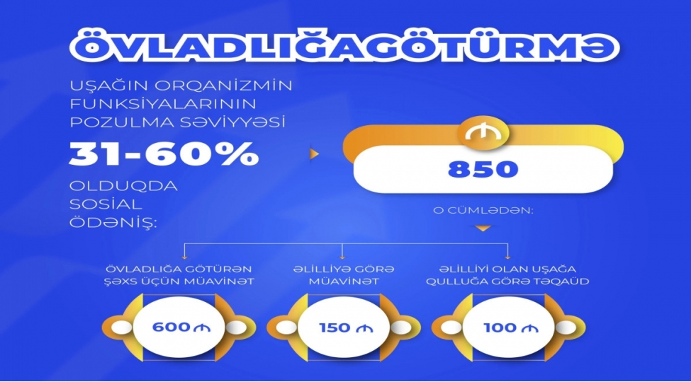 elilliyi-olan-ushaqlarin-ovladliga-goturulmesi-uchun-ayliq-sosial-odenishlerin-miqdari-achiqlanib