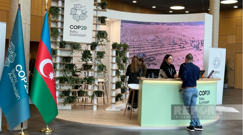 azerbaycan-cop29-la-bagli-herterefli-fealiyyet-planini-almaniyada-teqdim-edib