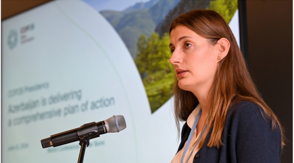 bmt-temsilchileri-biz-cop29-a-sedrliyi-cherchivesinde-azerbaycanla-yaxindan-emekdashliq-edeceyik