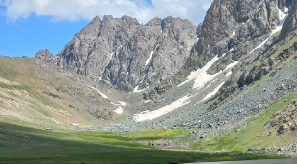 naxchivanda-biomuxtelifliyin-qorunmasi-ile-bagli-tedbirler-icra-olunur