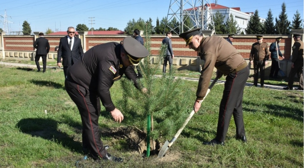 fhn-in-regional-merkezlerinde-agacekme-aksiyalari-kechirilib