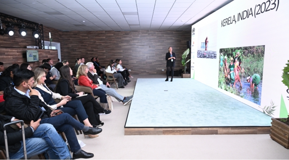 britaniyanin-genclerden-ibaret-numayende-heyetinin-uzvu-cop29-cherchivesinde-teqdimatla-chixish-edib