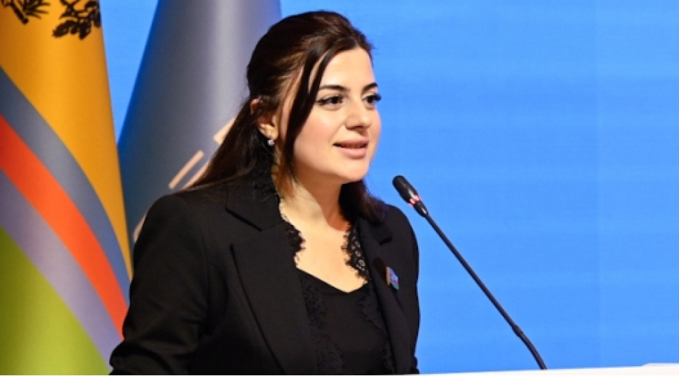 isvechre-parlamentinin-qerezli-movqeyi-ikili-standartlarin-ifadesidir