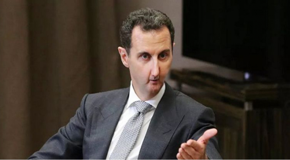 oz-olkesinden-quyrugukesik-it-kimi-qachdi