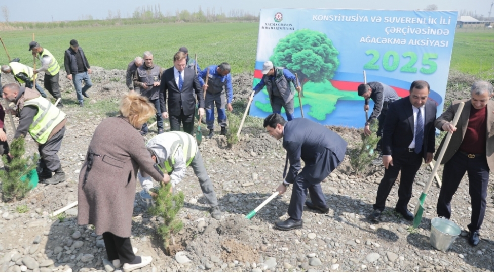 xachmazda-konstitusiya-ve-suverenlik-ili-cherchivesinde-novbeti-agacekme-aksiyasi-kechirilib-foto