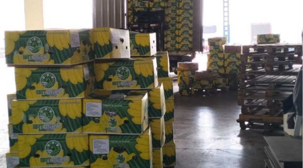 ekvadordan-azerbaycana-getirilen-erik-denesi-ve-banan-mehsulunda-uygunsuzluq-ashkarlanib
