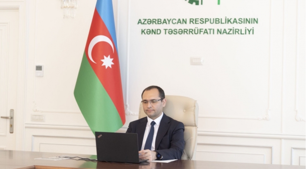 mecnun-memmedov-ve-rusiyanin-kend-teserrufati-naziri-oksana-lut-arasinda-onlayn-gorush-kechirilib