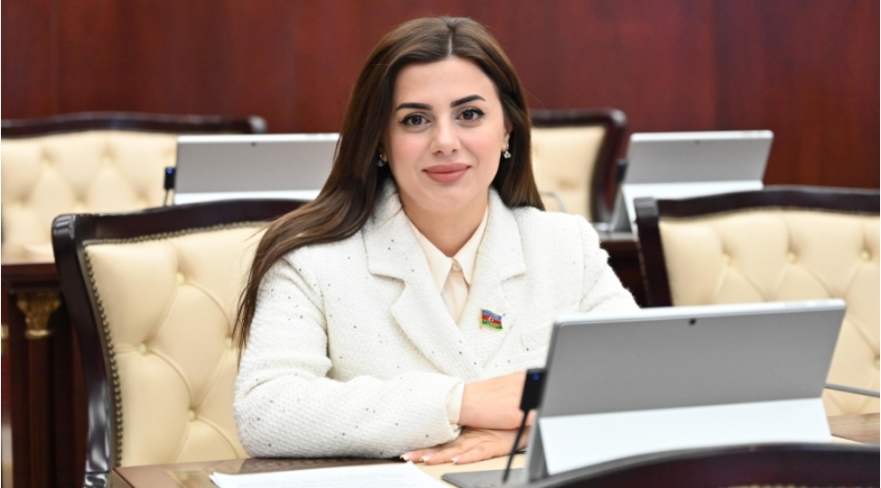 lachinda-hava-limaninin-achilmasi-bolgede-iqtisadi-fealligin-artirilmasina-tekan-verecek