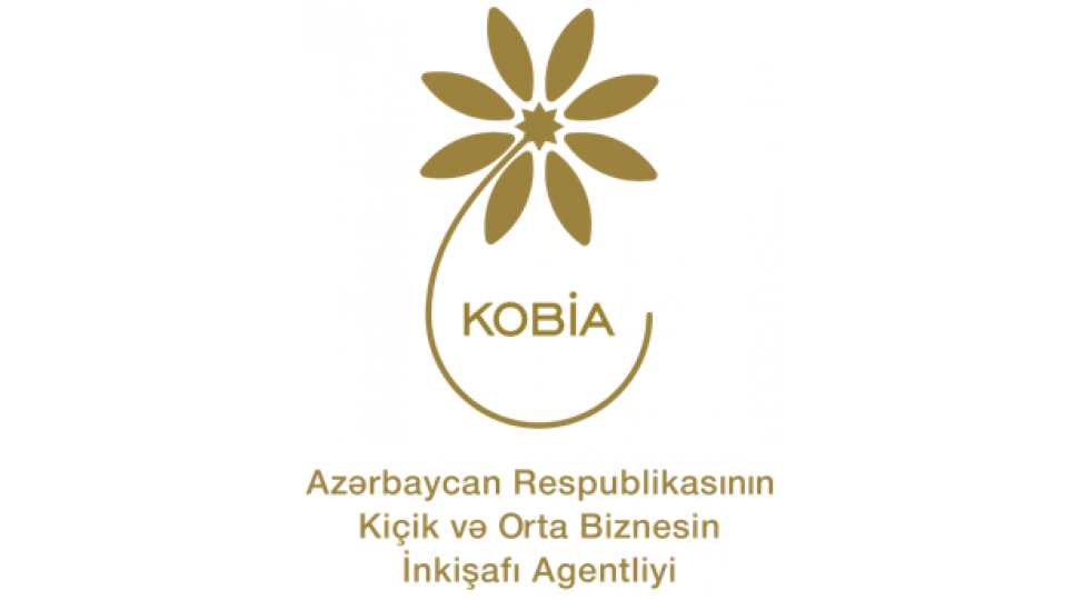 regionlarda-sahibkarliq-fealiyyeti-uchun-imkanlar-kob-evleri-kob-dostlari-kob-inkishaf-merkezleri