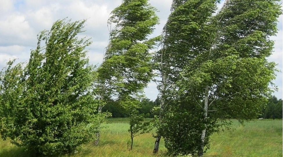 kulekli-hava-sheraiti-ile-bagli-sari-ve-narinci-xeberdarliq-verilib-15