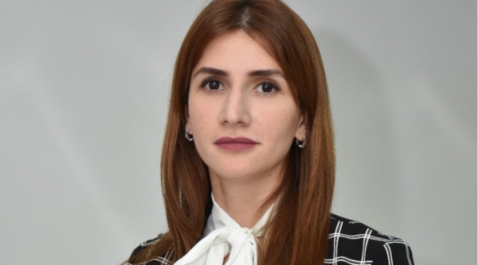 meshgulluq-strategiyasinin-esas-hedefleri-ve-gozlenilen-neticeleri-achiqlanib