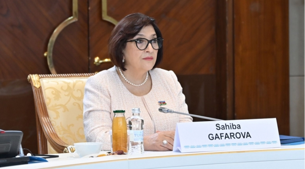 turkpa-ya-sedrliyimiz-dovrunde-teshkilatin-guclendirilmesi-istiqametinde-butun-addimlar-atilib-sahibe-qafarova