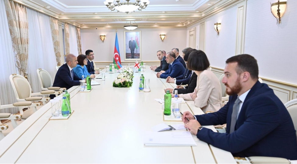 sahibe-qafarova-gurcustan-parlamentinin-numayende-heyeti-ile-gorushub