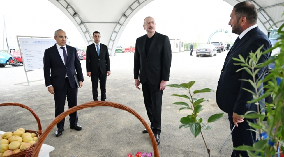 prezident-ilham-eliyev-yevlax-pilot-aqroparkinin-achilishinda-ishtirak-edib-yenilenibfoto