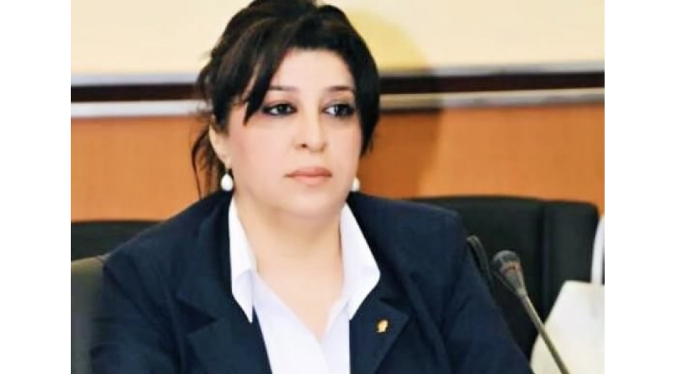 polis-gunu-azerbaycanin-keshikchileri-haqqinda-dushunceler