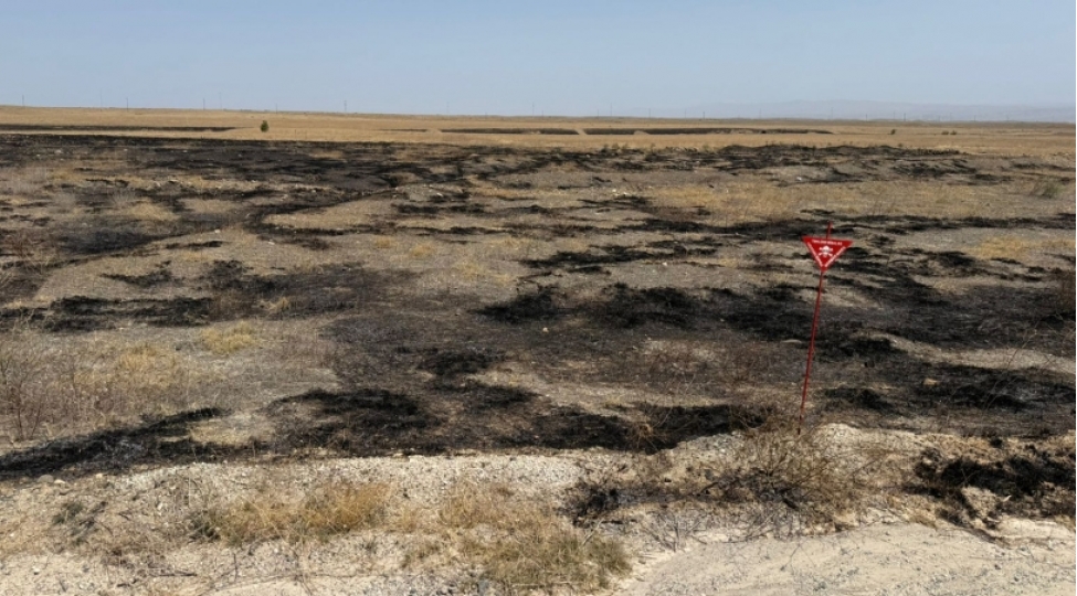 yangina-sebeb-olan-shexsler-saxlaniliblar