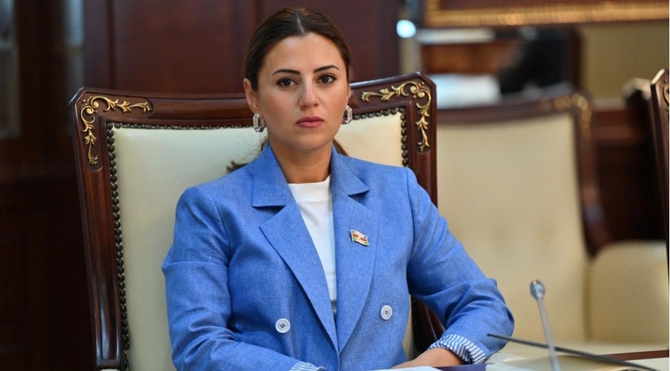 turk-dunyasinda-yeni-emekdashliq-modeli-formalashir