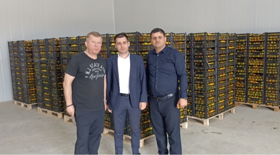azexport-portali-nar-xurma-ve-sitrus-mehsullari-belarusa-ixrac-edib